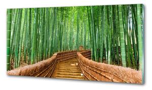 Konyhai hátfal panel üveg Bambusz erdő