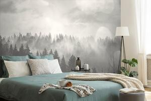 Öntapadó fotótapéta fekete fehér köd az erdő felett