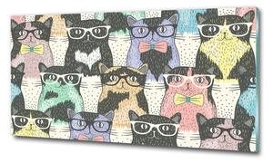 Üvegkép Macskák szemüveg