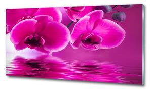 Egyedi üvegkép Orchidea
