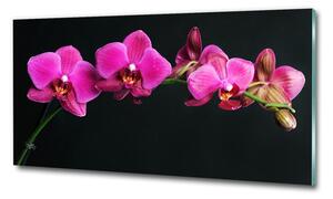 Egyedi üvegkép Orchidea