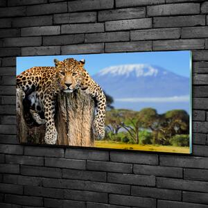 Üvegkép Leopard egy fatönkön