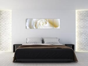 Kép - fehér, rózsák (170x50cm)