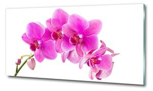 Egyedi üvegkép Rózsaszín orchidea