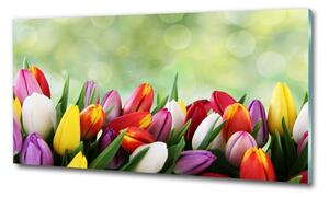 Egyedi üvegkép Színes tulipán
