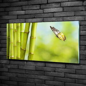 Egyedi üvegkép Bamboo és a pillangó