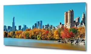 Üvegkép falra New york ősszel