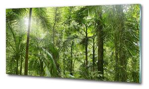 Egyedi üvegkép Trópusi erdő