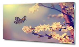 Egyedi üvegkép Cseresznyevirág és a pillangó