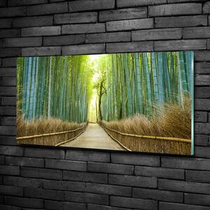 Üvegfotó Bambusz erdő