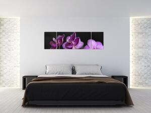 Festés - virágok (170x50cm)