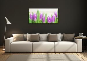 Egyedi üvegkép Lila tulipánok