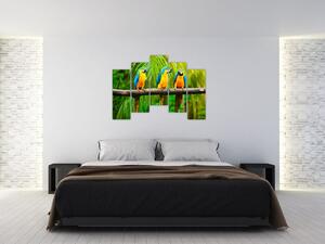 Modern kép - papagájok (125x90cm)