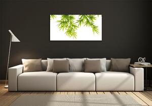 Egyedi üvegkép Bambusz levelek