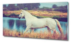 Üvegkép White horse-tó