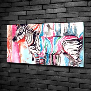 Egyedi üvegkép Színes zebra