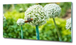 Egyedi üvegkép Flower fokhagyma