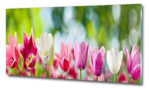 Egyedi üvegkép Tulipán