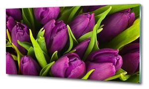 Egyedi üvegkép Lila tulipánok