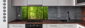 Konyhai üveg panel Lombhullató erdő