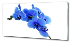 Egyedi üvegkép Kék orchidea