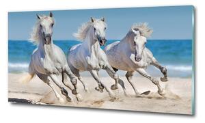 Üvegkép White horse beach