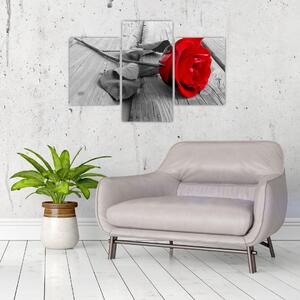 Kép - rózsa, piros virág (90x60cm)