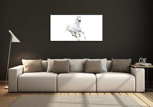 Üvegkép Fehér arab ló