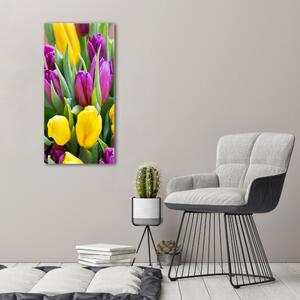Vászonkép nyomtatás Színes tulipán