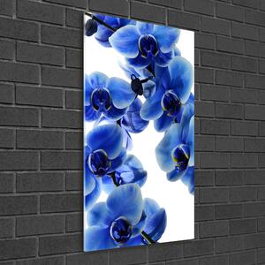 Akrilkép Kék orchidea