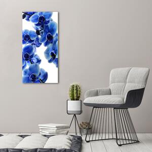 Vászonkép nyomtatás Kék orchidea