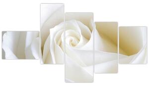 Kép - fehér, rózsák (150x85cm)