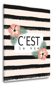 Vászonkép szöveggel C est la vie (modern vászonképek szöveggel)
