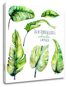 Vászonkép szöveggel Palm tropical leaves (modern vászonképek)