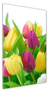 Egyedi üvegkép Színes tulipán