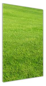 Üvegfotó Zöld fű