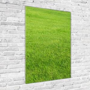 Üvegfotó Zöld fű
