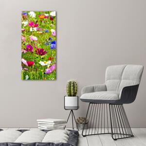 Vászonkép nyomtatás Field virágok
