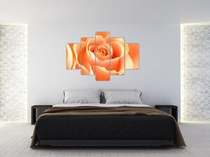 Kép - narancs, roses (150x105cm)