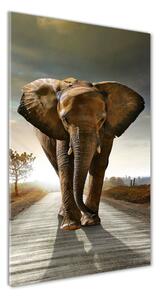 Üvegkép Séta elefánt