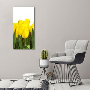 Vászonkép nyomtatás Sárga tulipánok