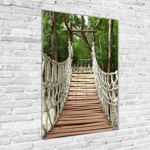 Üvegkép falra Kötél híd