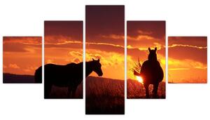 Kép - lovak, napnyugtakor (125x70cm)