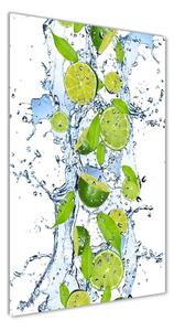 Akril üveg kép Mész és víz