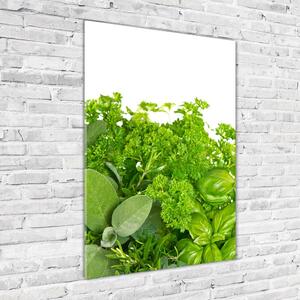 Photo kép üveg Gyógynövények
