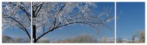 Kép - fagyos, téli, táj (170x50cm)