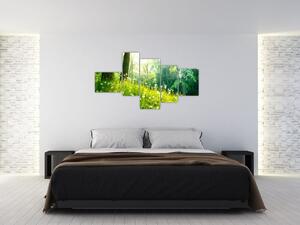 Modern képek - természet (150x85cm)