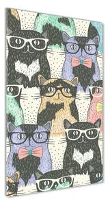 Üvegkép Macskák szemüveg