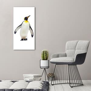 Üvegkép Pingvin