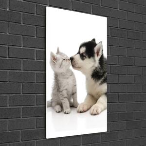 Üvegkép Kutya és macska
